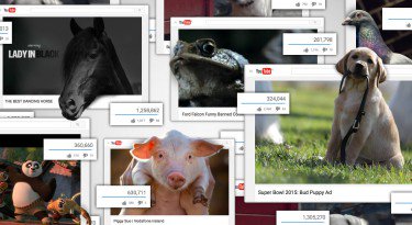 Super Bowl best animal commercials