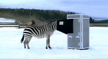 The 6 Best Super Bowl Ads Featuring Animals