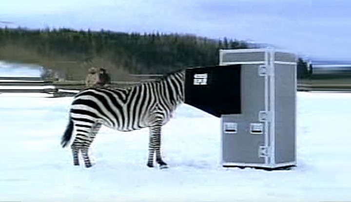 The 6 Best Super Bowl Ads Featuring Animals