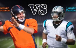 8 Insights Toward Super Bowl 50